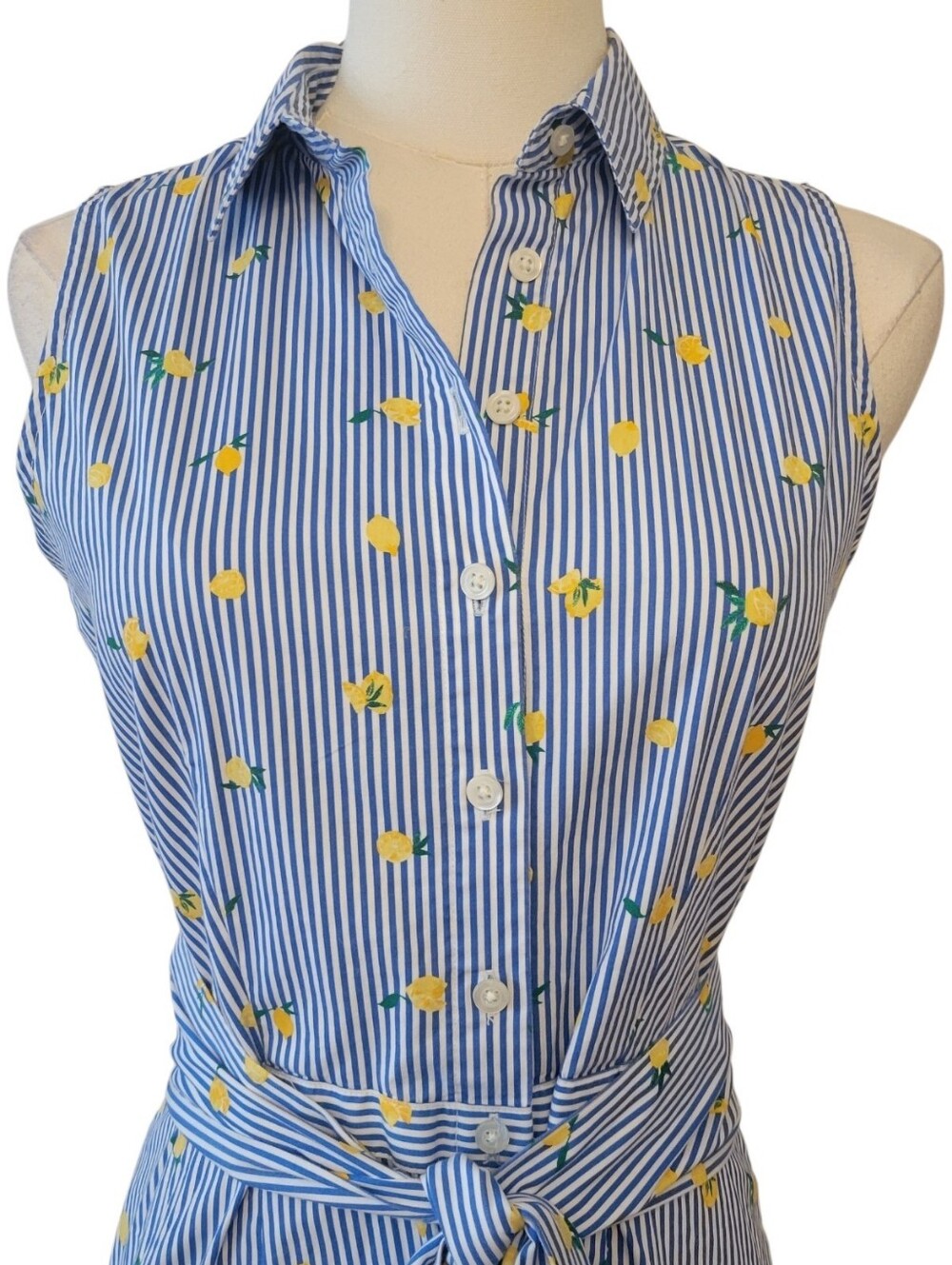 J. Crew Blue & White Stripe Lemon Print Shirtdress Size 2 - Picture 3 of 6